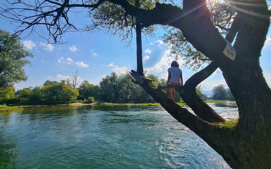 O pticama i kavezima I Treći dio